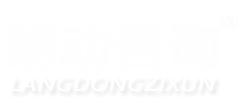 朗动咨询